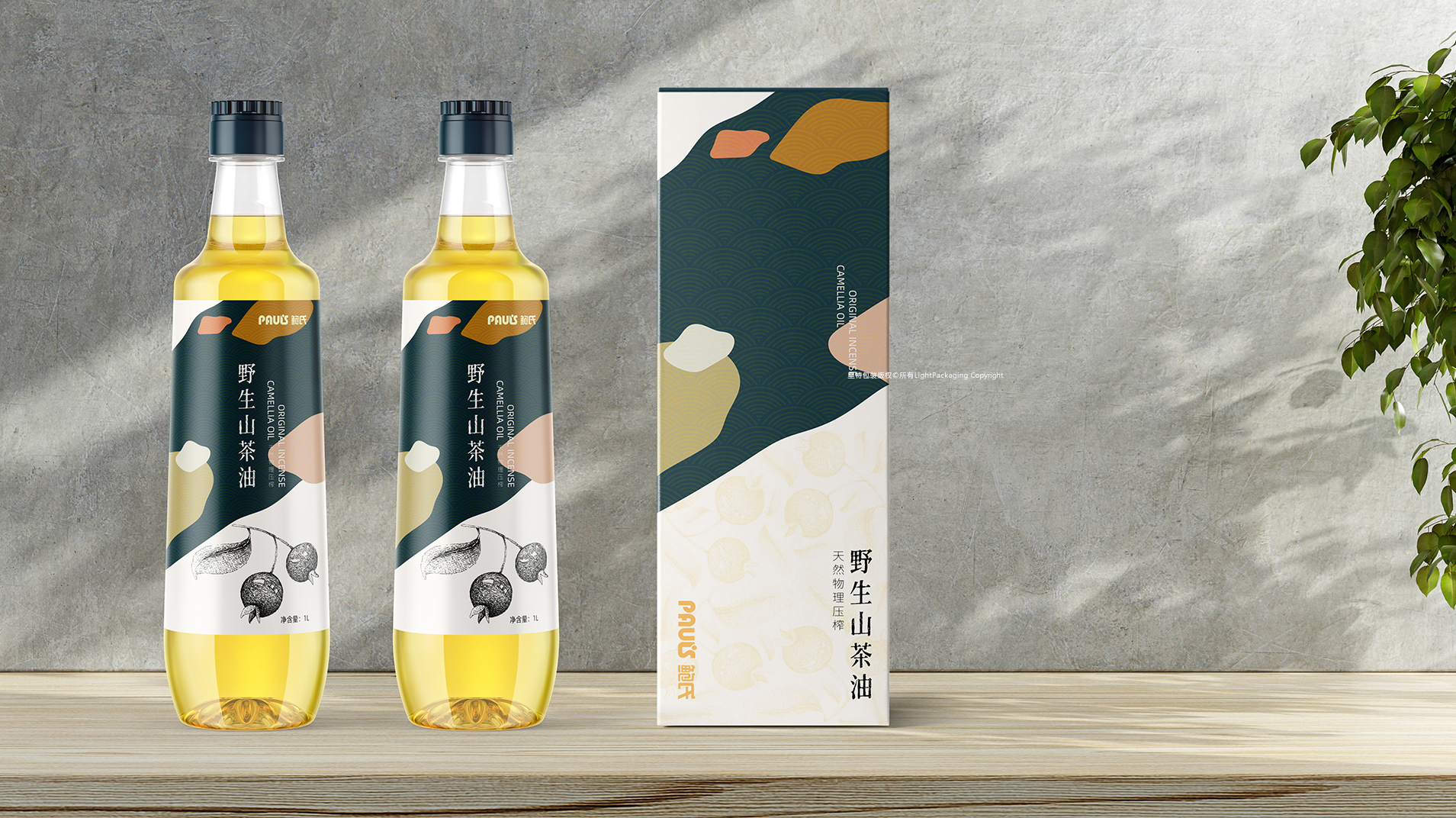 鲍氏