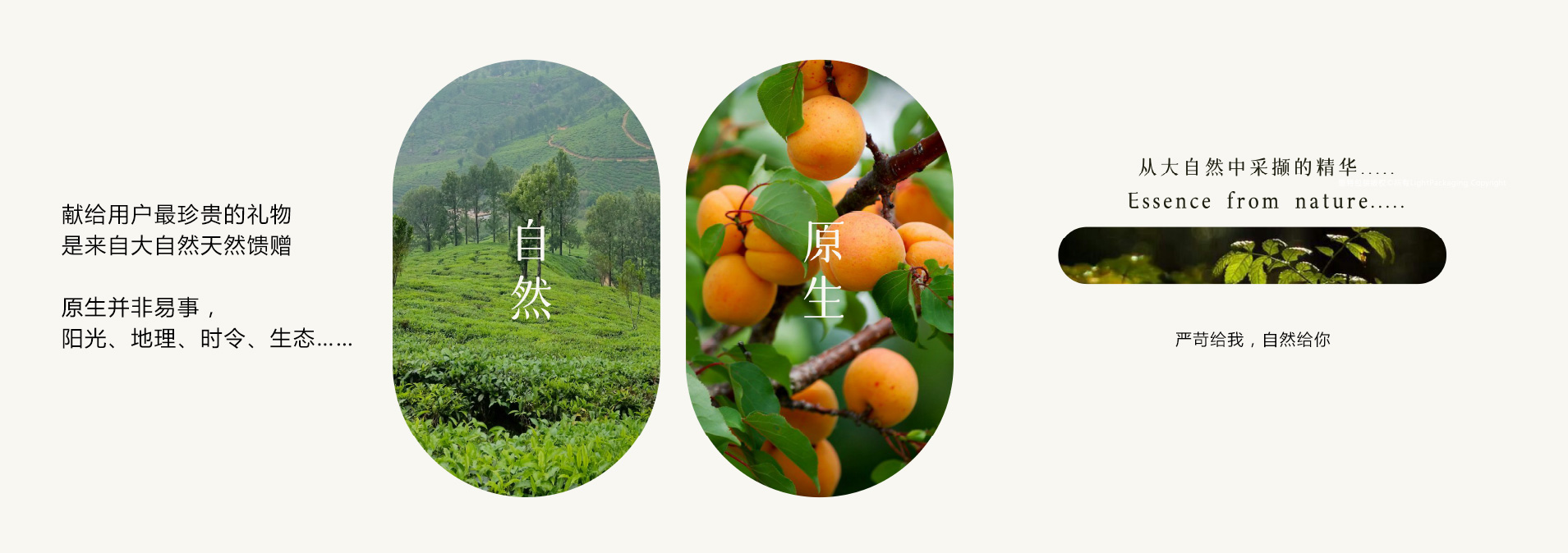 幸运嚼嚼蛋白饮