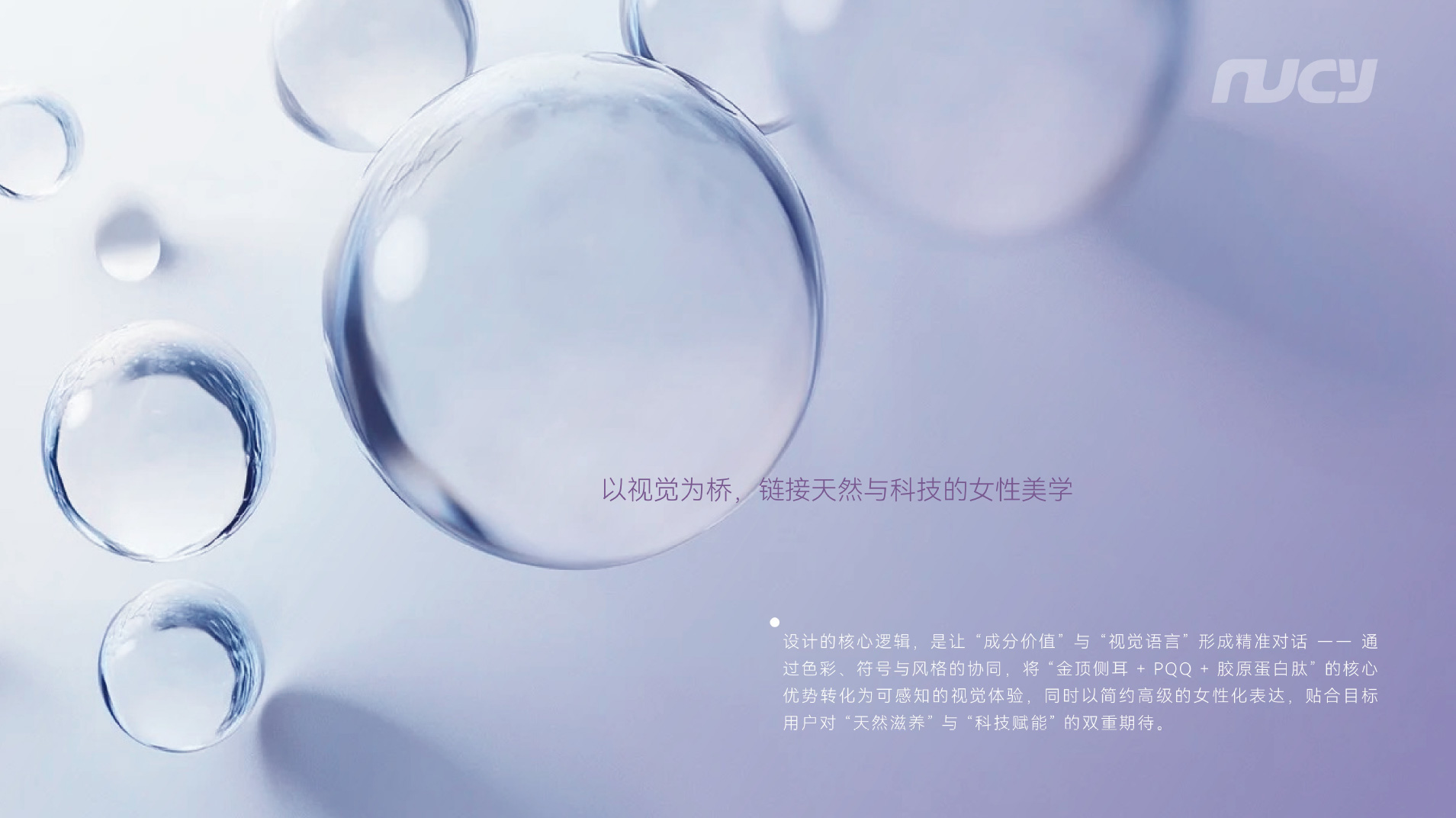 PQQ金顶侧耳胶原蛋白饮